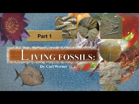 Origins: Living Fossils (Part 1)